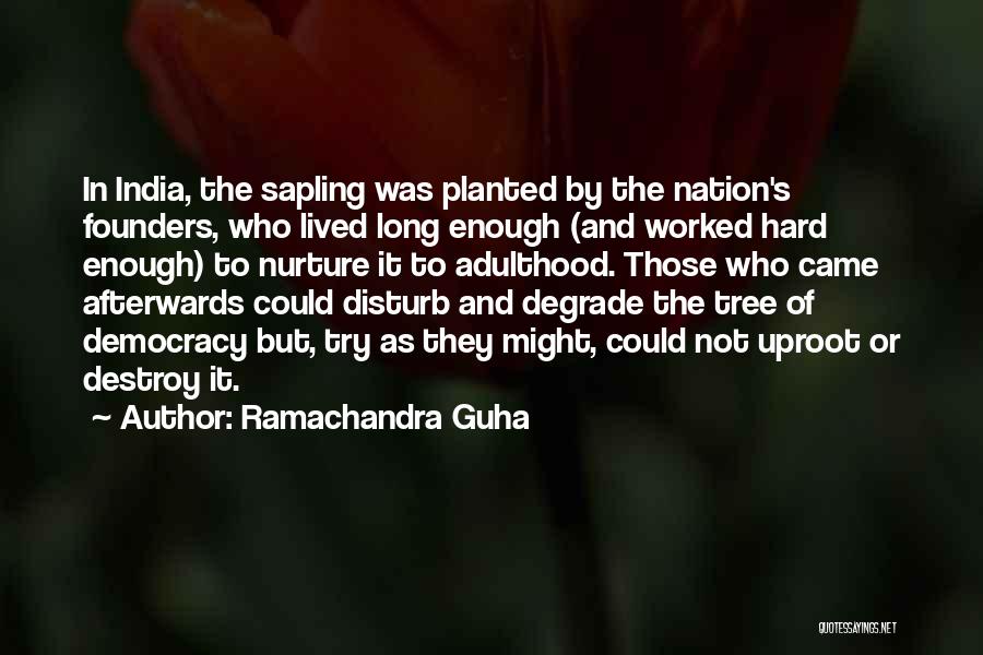 Ramachandra Guha Quotes: In India, The Sapling Was Planted By The Nation's Founders, Who Lived Long Enough (and Worked Hard Enough) To Nurture