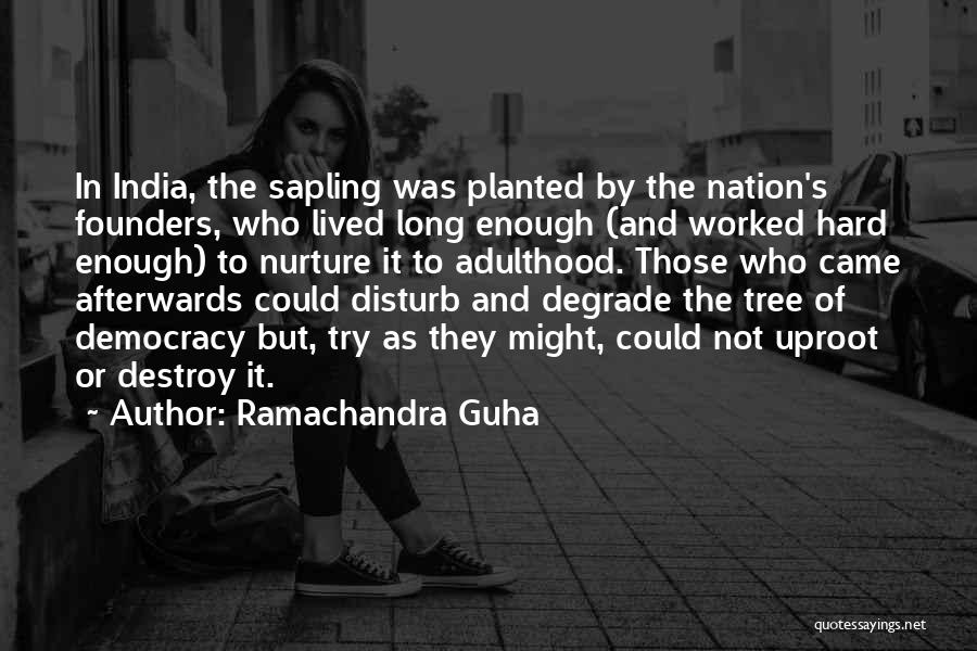 Ramachandra Guha Quotes: In India, The Sapling Was Planted By The Nation's Founders, Who Lived Long Enough (and Worked Hard Enough) To Nurture