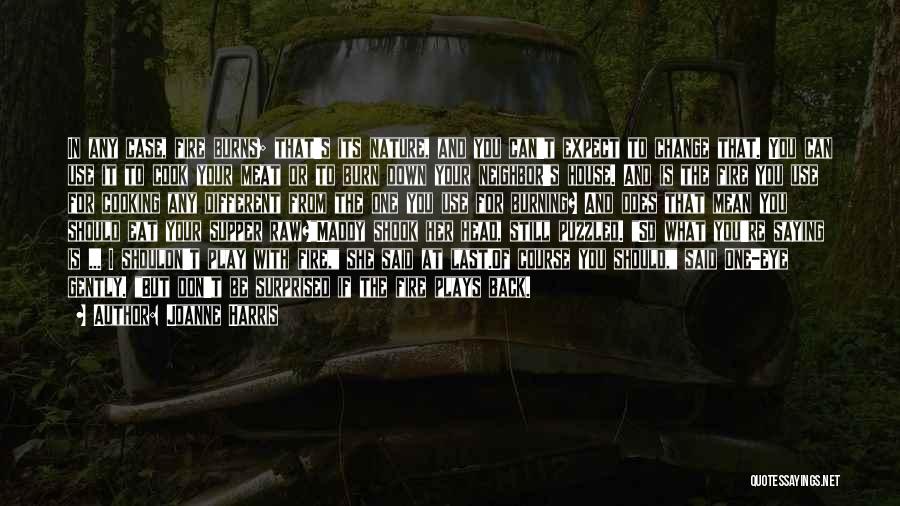 Joanne Harris Quotes: In Any Case, Fire Burns; That's Its Nature, And You Can't Expect To Change That. You Can Use It To
