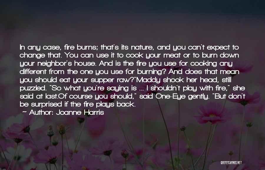 Joanne Harris Quotes: In Any Case, Fire Burns; That's Its Nature, And You Can't Expect To Change That. You Can Use It To