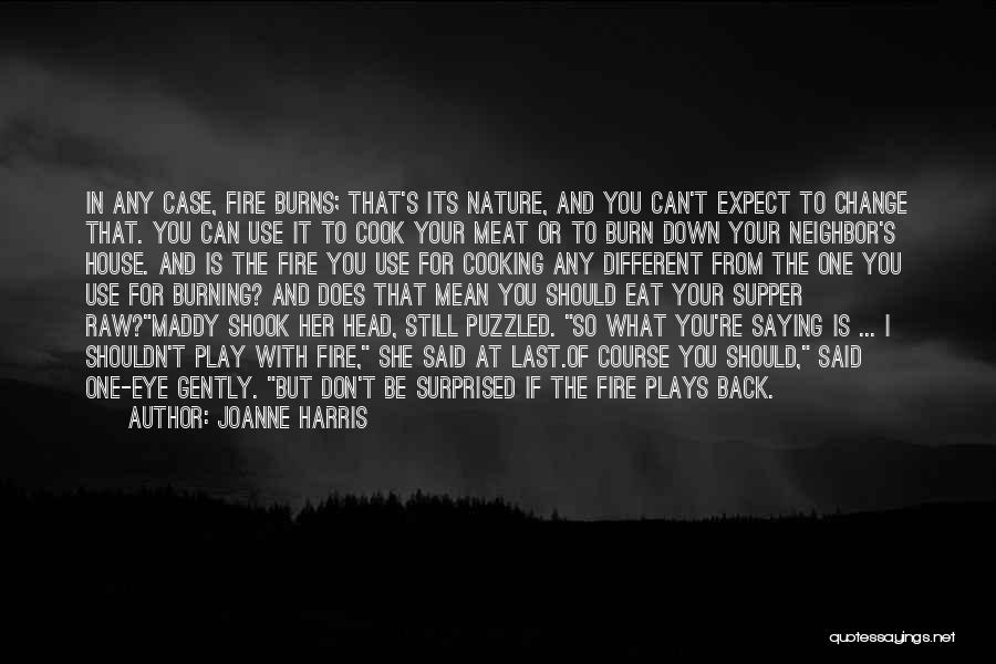 Joanne Harris Quotes: In Any Case, Fire Burns; That's Its Nature, And You Can't Expect To Change That. You Can Use It To