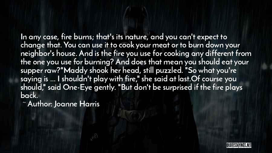 Joanne Harris Quotes: In Any Case, Fire Burns; That's Its Nature, And You Can't Expect To Change That. You Can Use It To