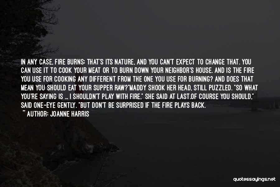 Joanne Harris Quotes: In Any Case, Fire Burns; That's Its Nature, And You Can't Expect To Change That. You Can Use It To