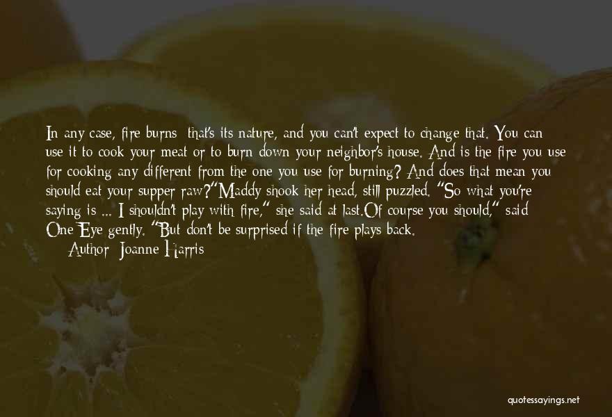 Joanne Harris Quotes: In Any Case, Fire Burns; That's Its Nature, And You Can't Expect To Change That. You Can Use It To