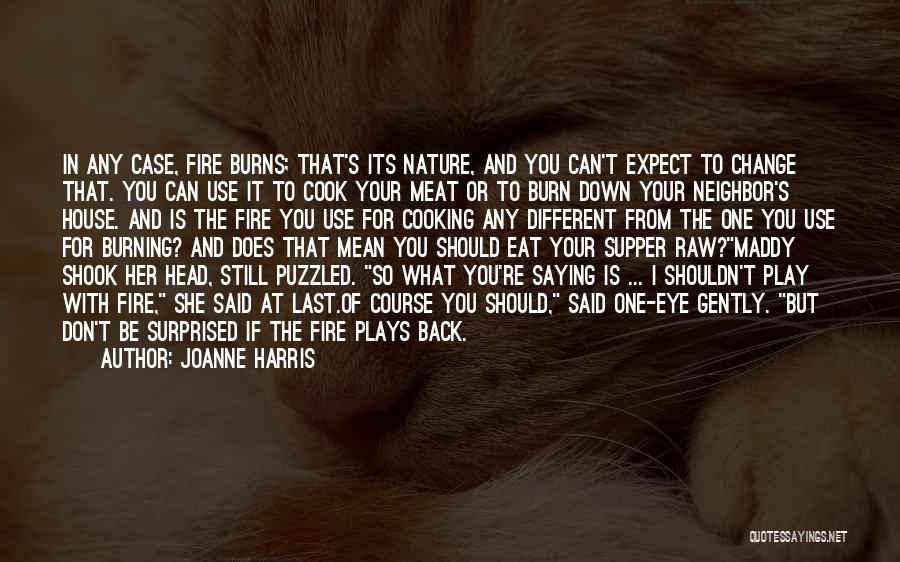 Joanne Harris Quotes: In Any Case, Fire Burns; That's Its Nature, And You Can't Expect To Change That. You Can Use It To