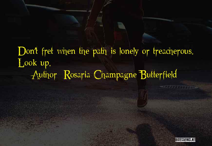 Rosaria Champagne Butterfield Quotes: Don't Fret When The Path Is Lonely Or Treacherous. Look Up.