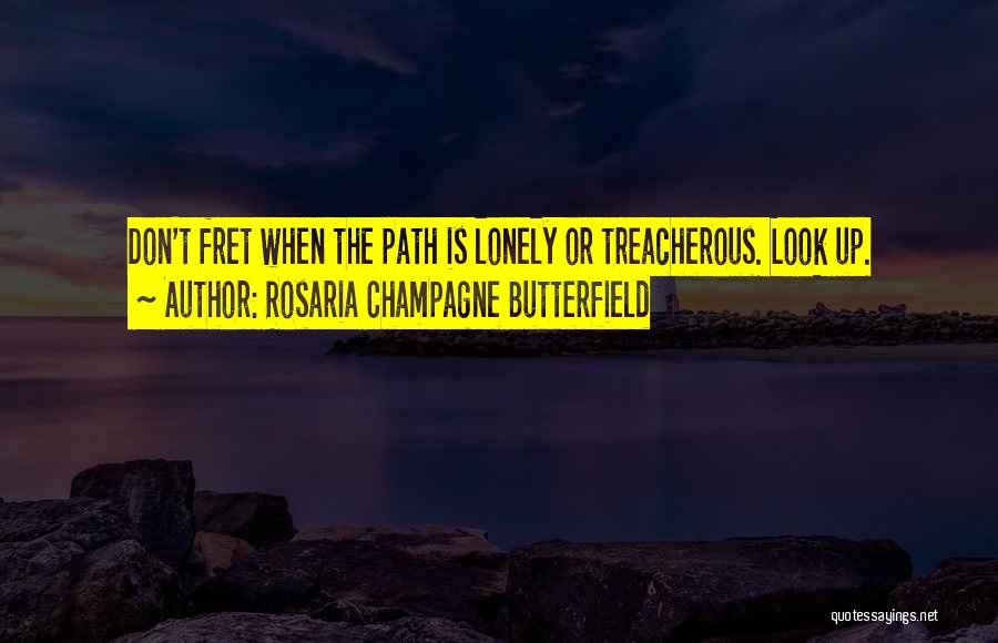 Rosaria Champagne Butterfield Quotes: Don't Fret When The Path Is Lonely Or Treacherous. Look Up.