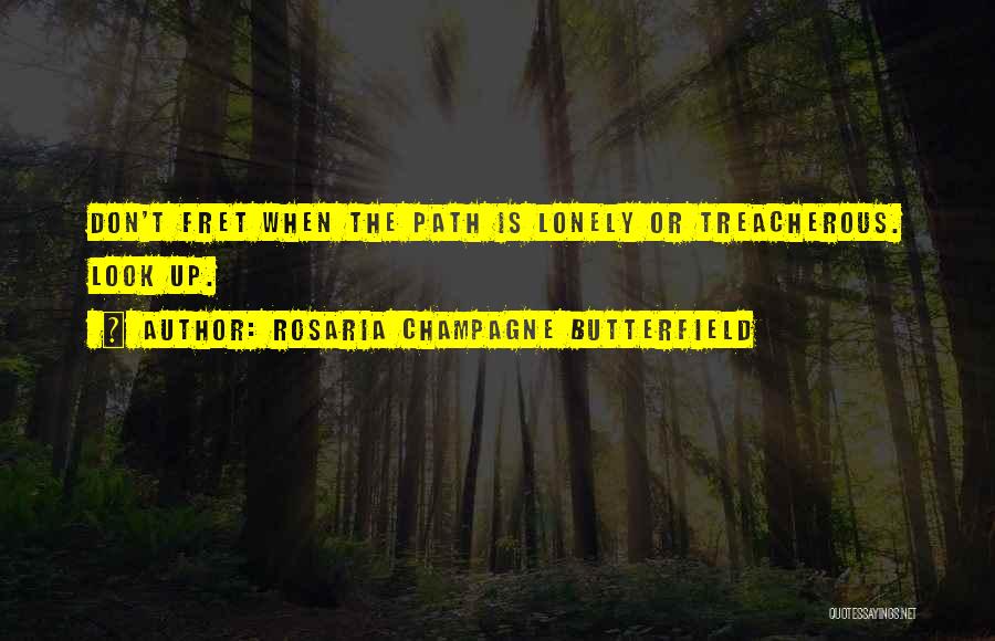 Rosaria Champagne Butterfield Quotes: Don't Fret When The Path Is Lonely Or Treacherous. Look Up.