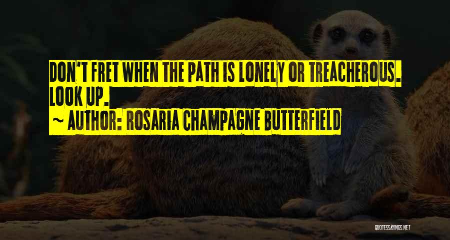 Rosaria Champagne Butterfield Quotes: Don't Fret When The Path Is Lonely Or Treacherous. Look Up.