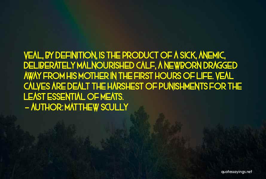 Matthew Scully Quotes: Veal, By Definition, Is The Product Of A Sick, Anemic, Deliberately Malnourished Calf, A Newborn Dragged Away From His Mother