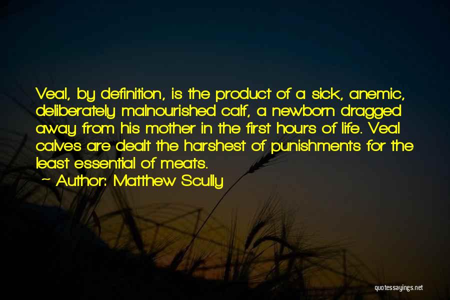 Matthew Scully Quotes: Veal, By Definition, Is The Product Of A Sick, Anemic, Deliberately Malnourished Calf, A Newborn Dragged Away From His Mother