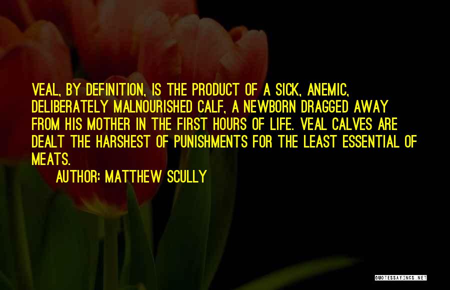 Matthew Scully Quotes: Veal, By Definition, Is The Product Of A Sick, Anemic, Deliberately Malnourished Calf, A Newborn Dragged Away From His Mother