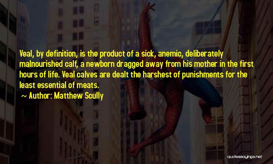 Matthew Scully Quotes: Veal, By Definition, Is The Product Of A Sick, Anemic, Deliberately Malnourished Calf, A Newborn Dragged Away From His Mother