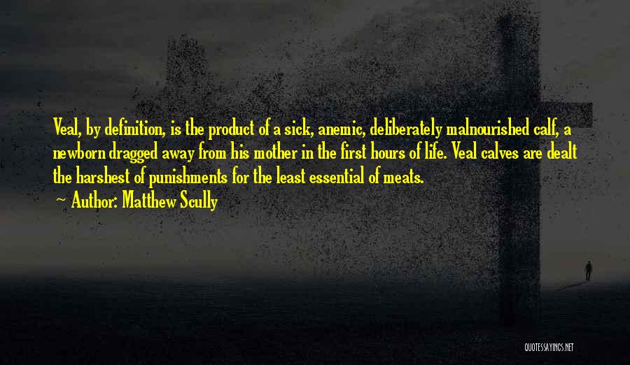 Matthew Scully Quotes: Veal, By Definition, Is The Product Of A Sick, Anemic, Deliberately Malnourished Calf, A Newborn Dragged Away From His Mother