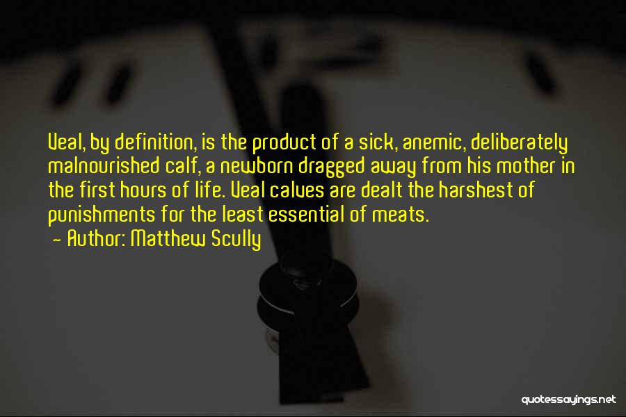 Matthew Scully Quotes: Veal, By Definition, Is The Product Of A Sick, Anemic, Deliberately Malnourished Calf, A Newborn Dragged Away From His Mother