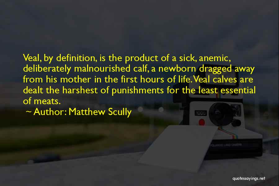 Matthew Scully Quotes: Veal, By Definition, Is The Product Of A Sick, Anemic, Deliberately Malnourished Calf, A Newborn Dragged Away From His Mother