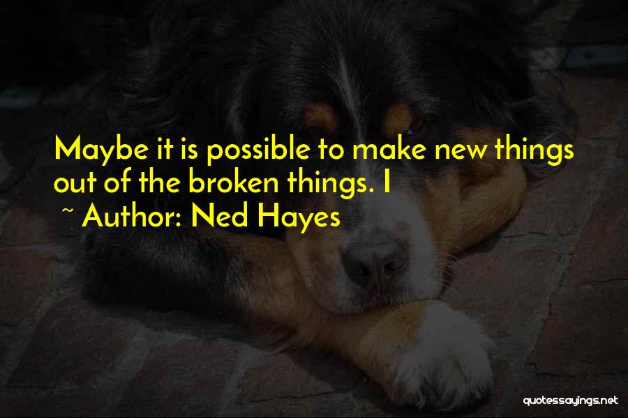 Ned Hayes Quotes: Maybe It Is Possible To Make New Things Out Of The Broken Things. I