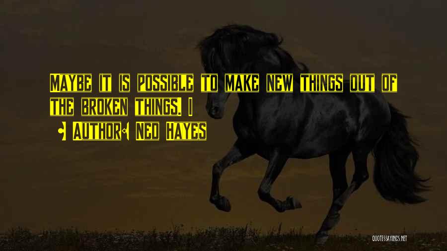 Ned Hayes Quotes: Maybe It Is Possible To Make New Things Out Of The Broken Things. I