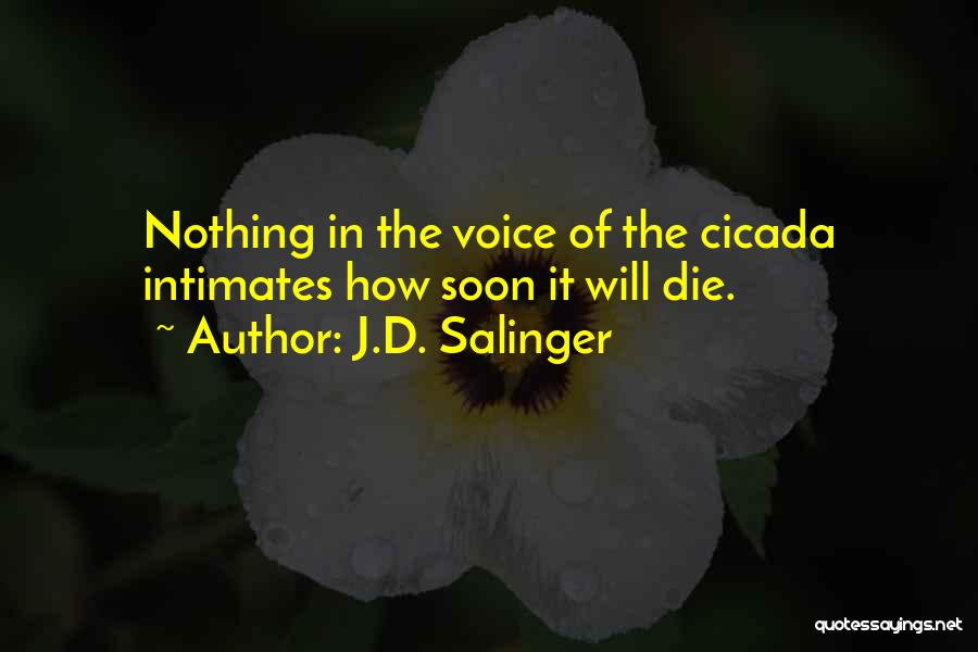 J.D. Salinger Quotes: Nothing In The Voice Of The Cicada Intimates How Soon It Will Die.