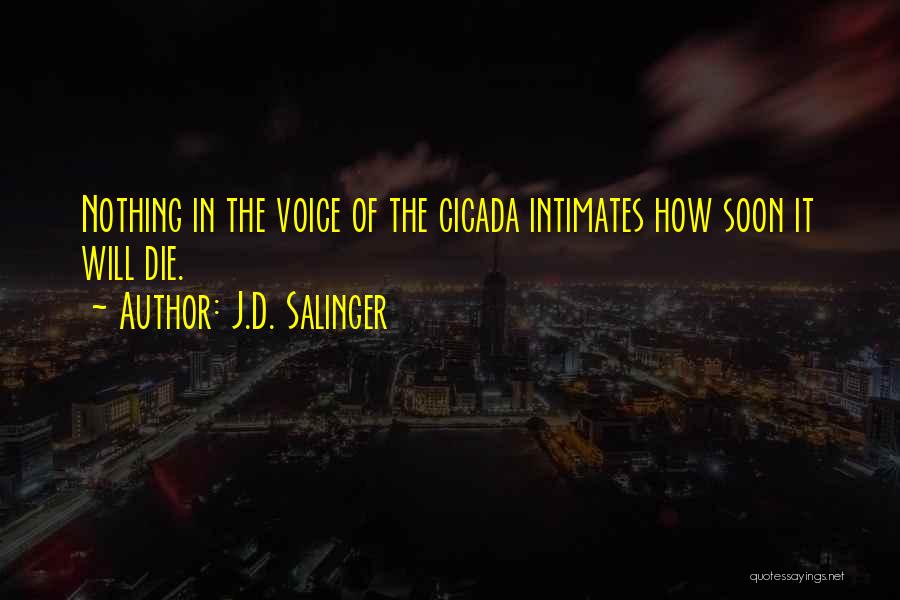 J.D. Salinger Quotes: Nothing In The Voice Of The Cicada Intimates How Soon It Will Die.