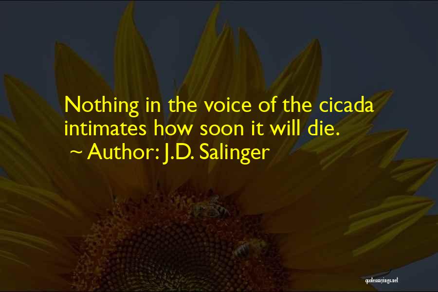 J.D. Salinger Quotes: Nothing In The Voice Of The Cicada Intimates How Soon It Will Die.