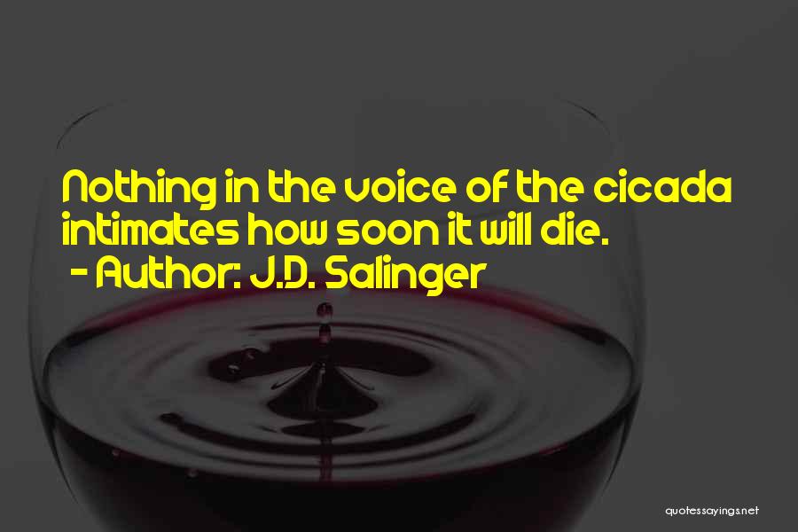 J.D. Salinger Quotes: Nothing In The Voice Of The Cicada Intimates How Soon It Will Die.