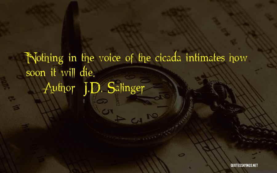 J.D. Salinger Quotes: Nothing In The Voice Of The Cicada Intimates How Soon It Will Die.