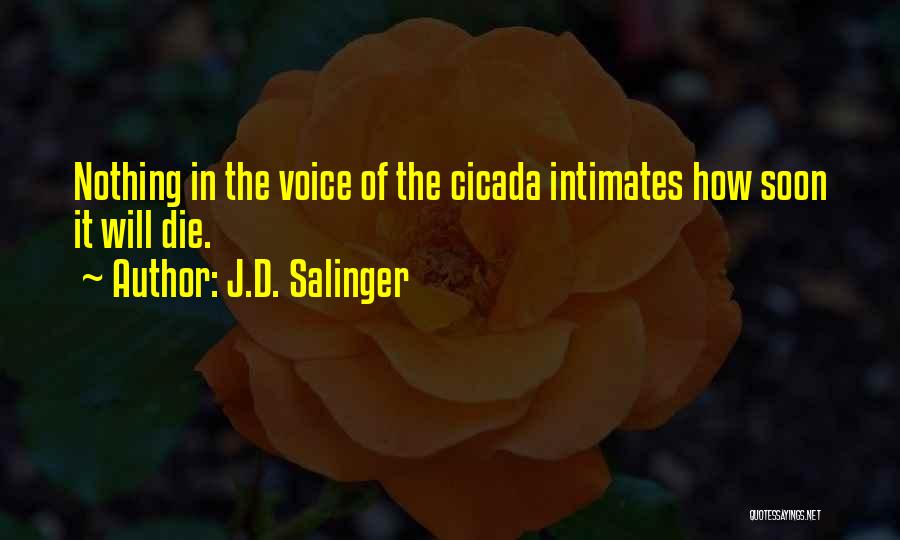 J.D. Salinger Quotes: Nothing In The Voice Of The Cicada Intimates How Soon It Will Die.