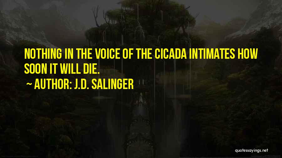 J.D. Salinger Quotes: Nothing In The Voice Of The Cicada Intimates How Soon It Will Die.