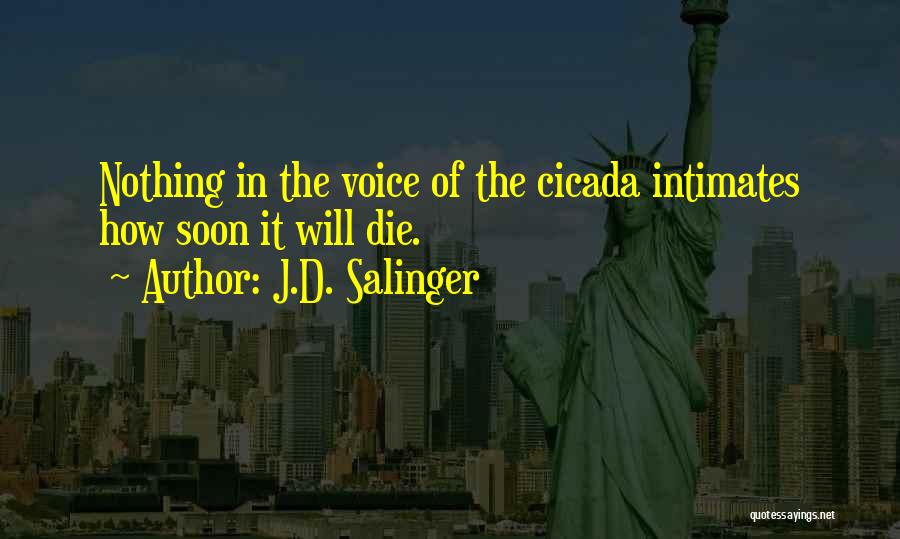 J.D. Salinger Quotes: Nothing In The Voice Of The Cicada Intimates How Soon It Will Die.