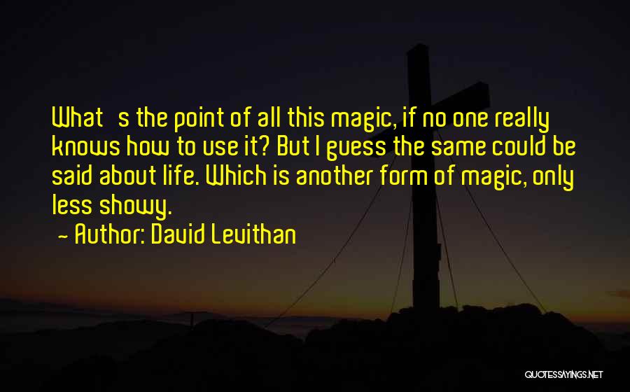David Levithan Quotes: What's The Point Of All This Magic, If No One Really Knows How To Use It? But I Guess The