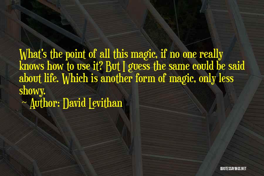 David Levithan Quotes: What's The Point Of All This Magic, If No One Really Knows How To Use It? But I Guess The