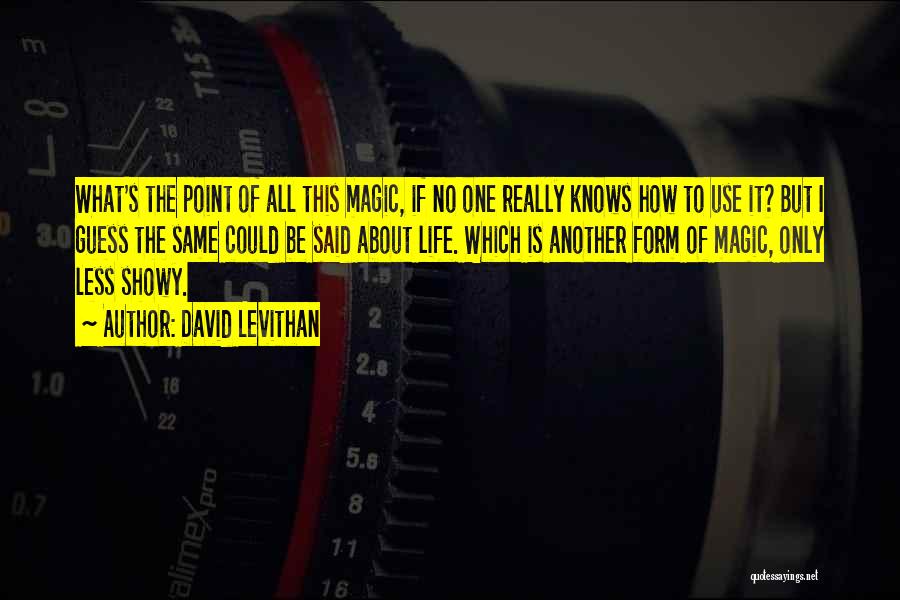 David Levithan Quotes: What's The Point Of All This Magic, If No One Really Knows How To Use It? But I Guess The