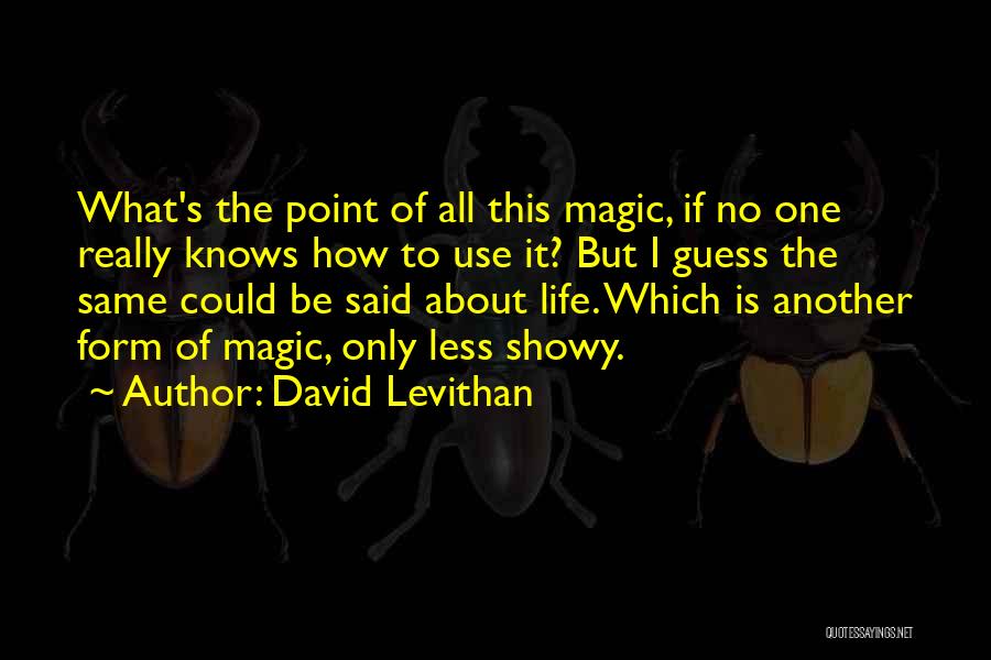 David Levithan Quotes: What's The Point Of All This Magic, If No One Really Knows How To Use It? But I Guess The