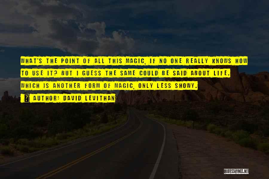 David Levithan Quotes: What's The Point Of All This Magic, If No One Really Knows How To Use It? But I Guess The