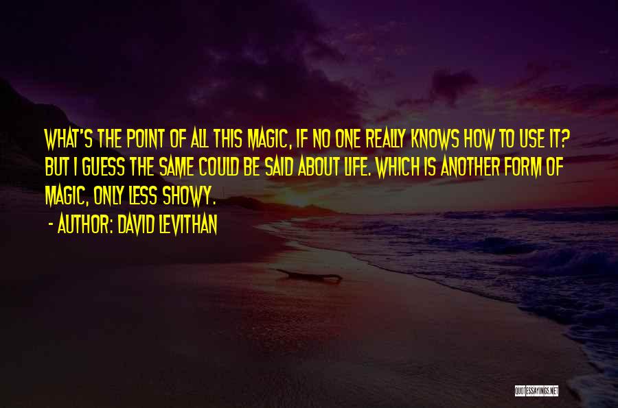David Levithan Quotes: What's The Point Of All This Magic, If No One Really Knows How To Use It? But I Guess The