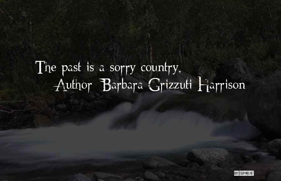 Barbara Grizzuti Harrison Quotes: The Past Is A Sorry Country.