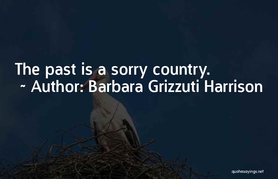 Barbara Grizzuti Harrison Quotes: The Past Is A Sorry Country.