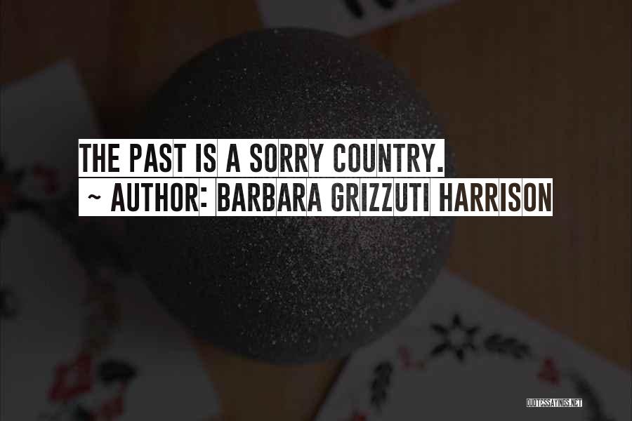 Barbara Grizzuti Harrison Quotes: The Past Is A Sorry Country.