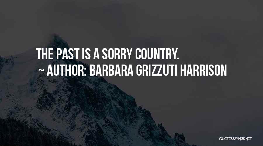 Barbara Grizzuti Harrison Quotes: The Past Is A Sorry Country.