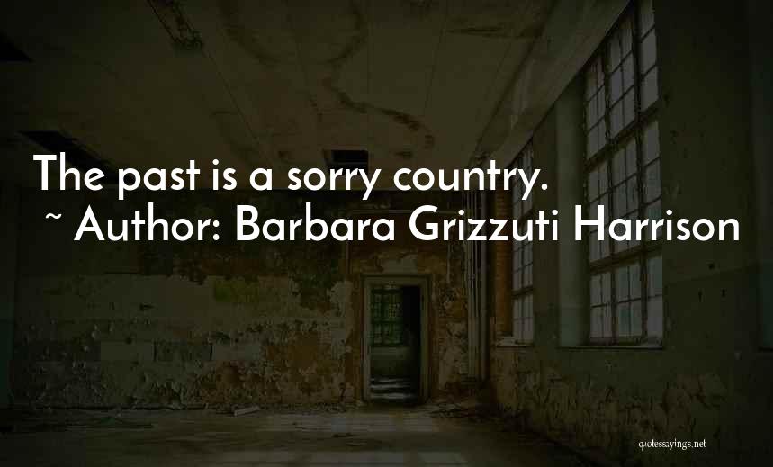 Barbara Grizzuti Harrison Quotes: The Past Is A Sorry Country.