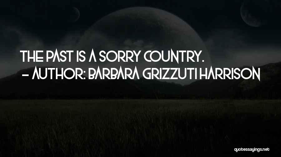 Barbara Grizzuti Harrison Quotes: The Past Is A Sorry Country.