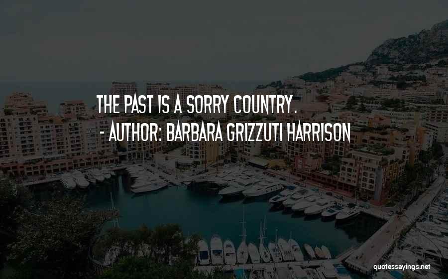 Barbara Grizzuti Harrison Quotes: The Past Is A Sorry Country.