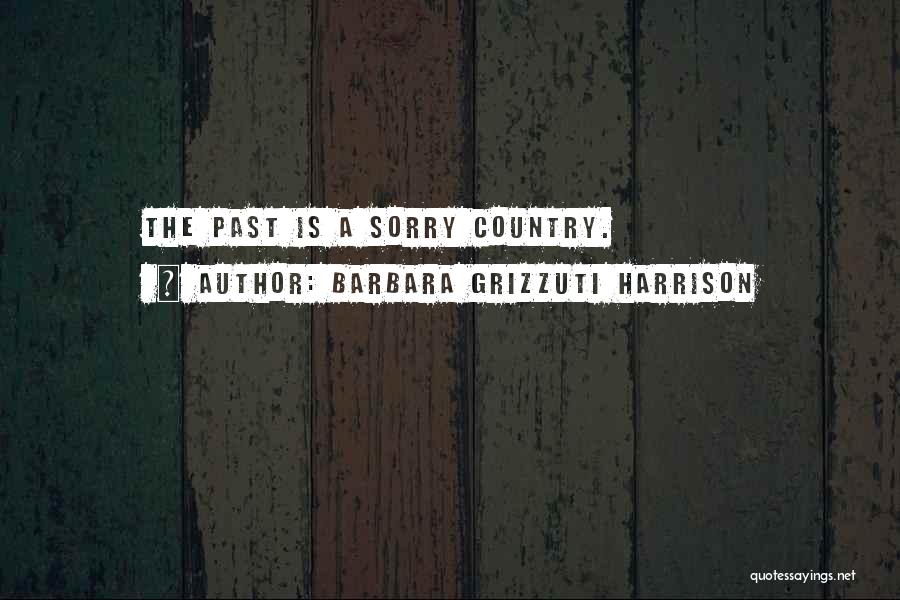 Barbara Grizzuti Harrison Quotes: The Past Is A Sorry Country.