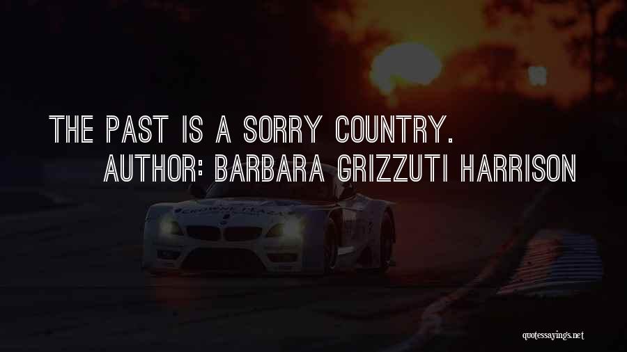 Barbara Grizzuti Harrison Quotes: The Past Is A Sorry Country.