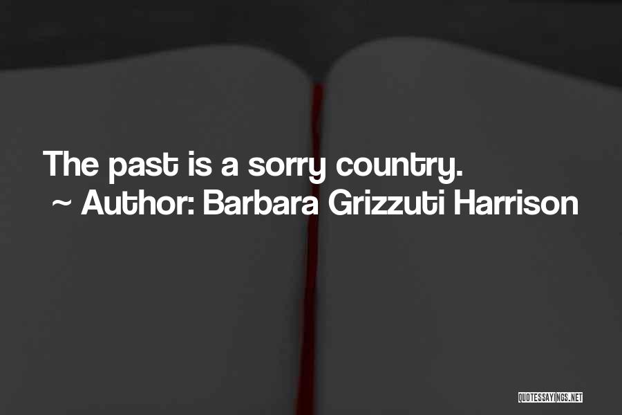 Barbara Grizzuti Harrison Quotes: The Past Is A Sorry Country.