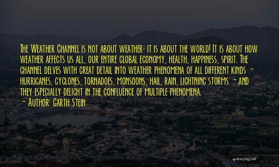 Garth Stein Quotes: The Weather Channel Is Not About Weather; It Is About The World! It Is About How Weather Affects Us All,