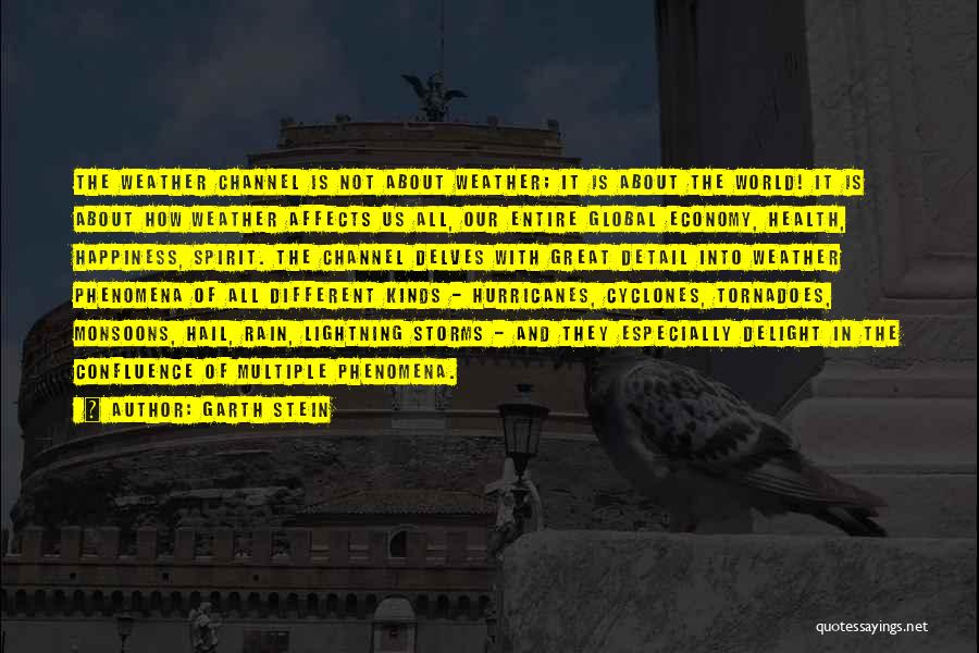 Garth Stein Quotes: The Weather Channel Is Not About Weather; It Is About The World! It Is About How Weather Affects Us All,