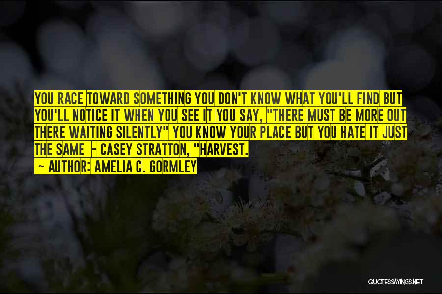 Amelia C. Gormley Quotes: You Race Toward Something You Don't Know What You'll Find But You'll Notice It When You See It You Say,