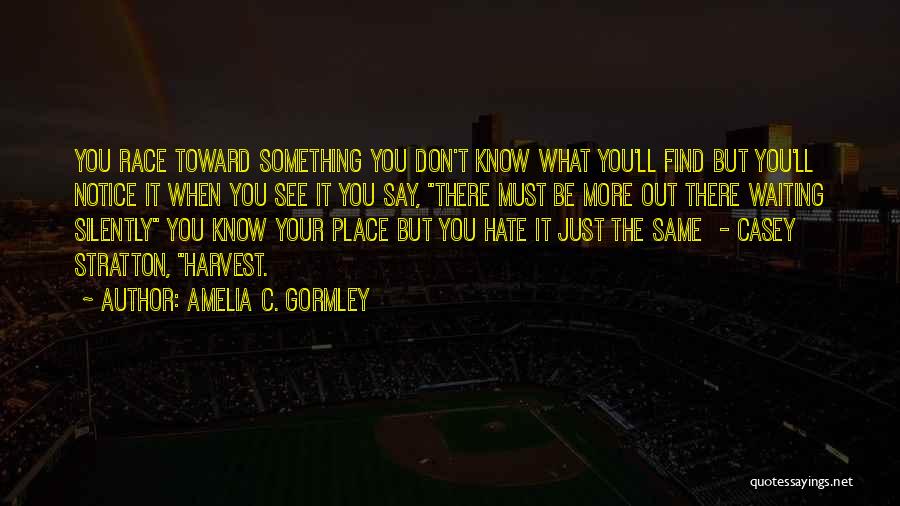 Amelia C. Gormley Quotes: You Race Toward Something You Don't Know What You'll Find But You'll Notice It When You See It You Say,